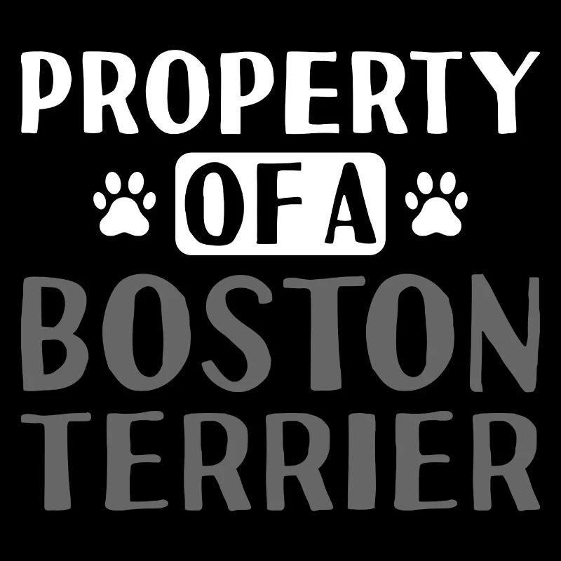 Propriété D’un Boston Terrier