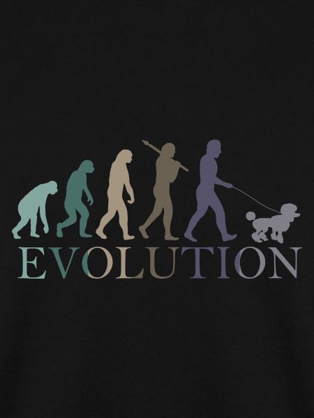 EVOLUTION PUDEL