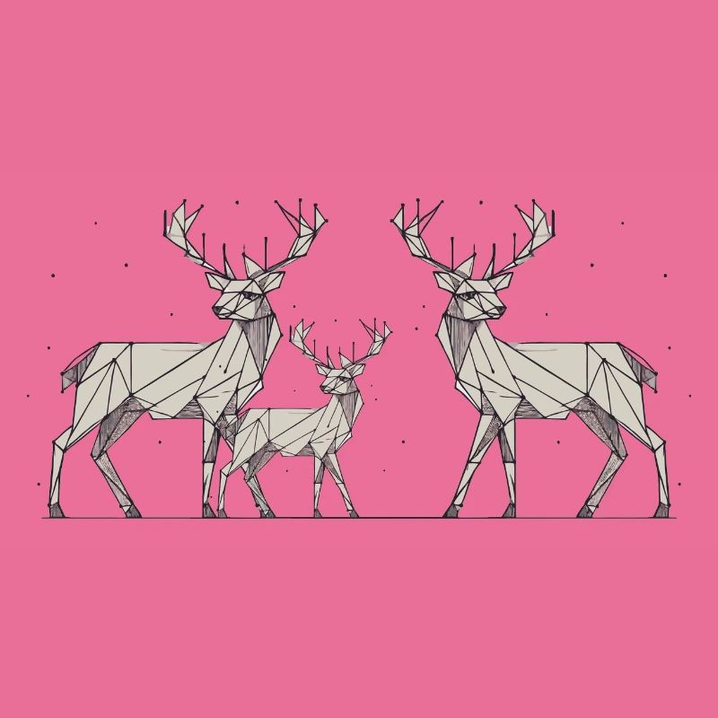 Hirsch 2D