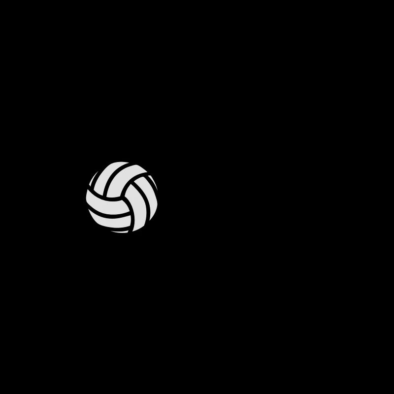 volleyball coach