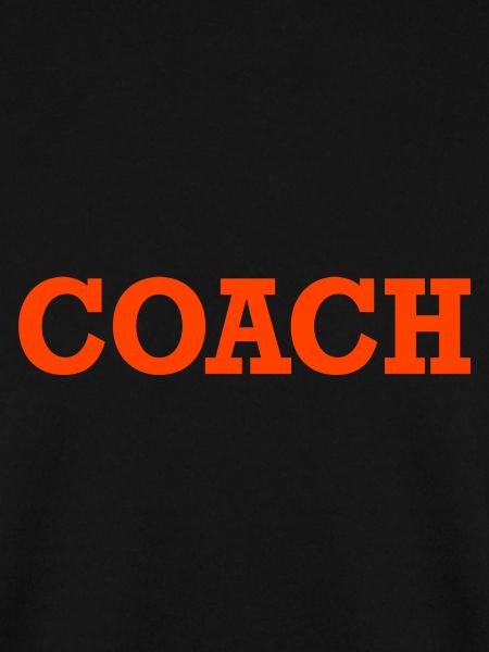 Coach Training Trainer coaching