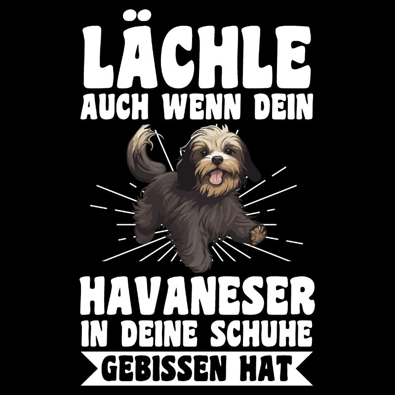 Hund Havaneser