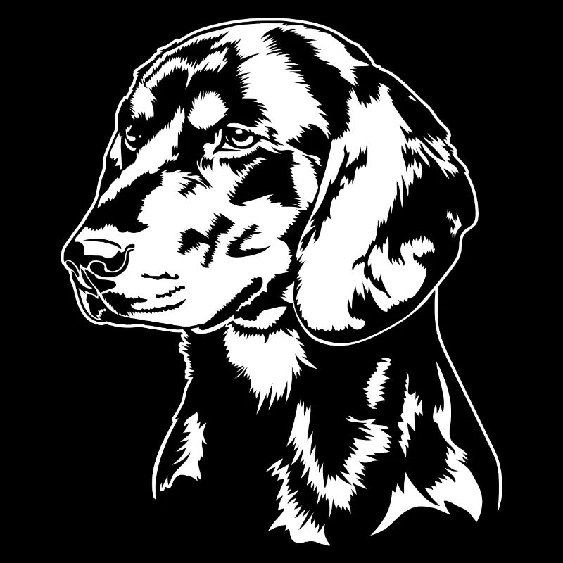 Sanglier Bracke Portrait Chiens Chien de chasse Wilsigns