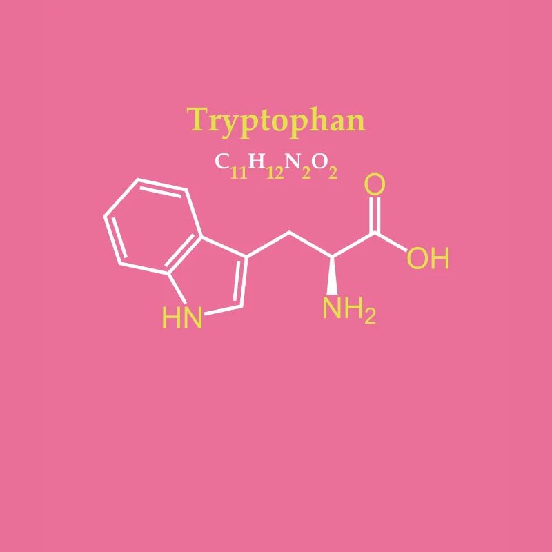 Tryptophane Molécule