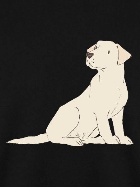 Labrador-Creme