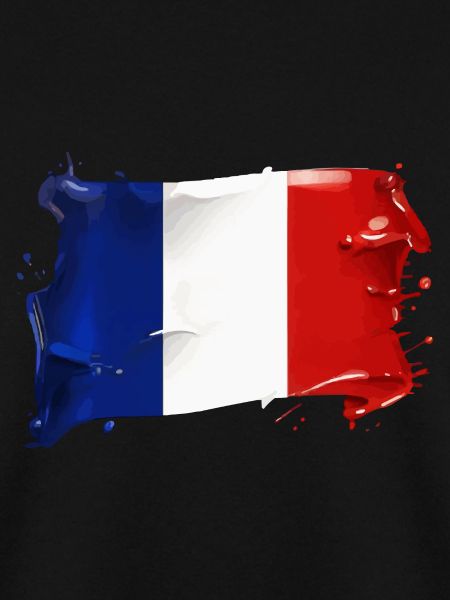 FRANKREICH FLAGGE FAHNE FRANKREICH