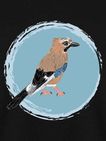 Eichelhäher / Eurasian Jay II