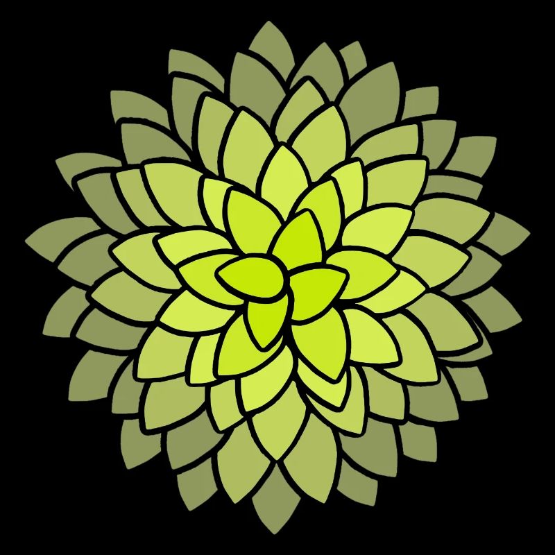 MUMS Fleurs Fleurs Fleurs