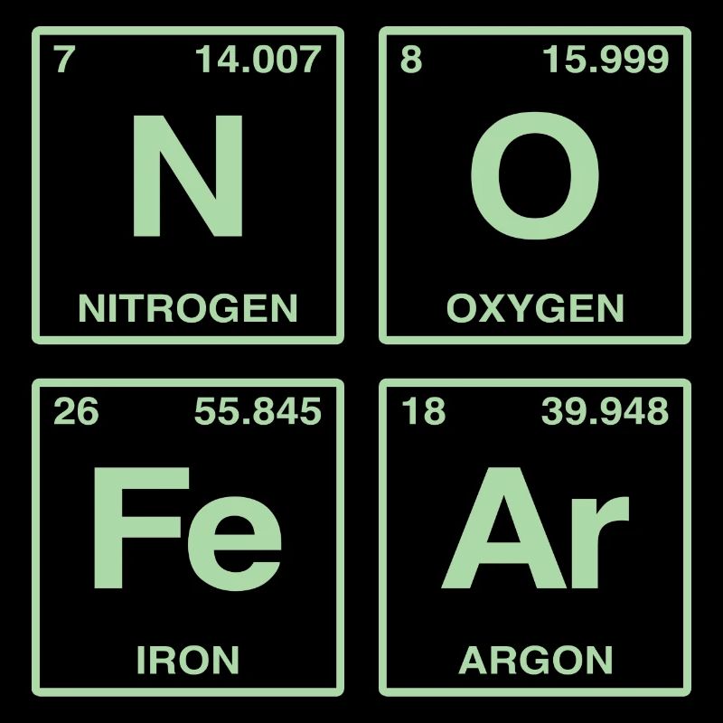 NO FEAR - with elements of the perdiode system