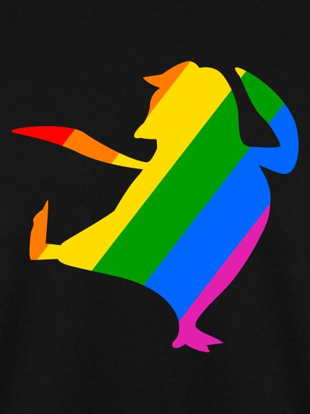 Rainbow Penguin Does Karate