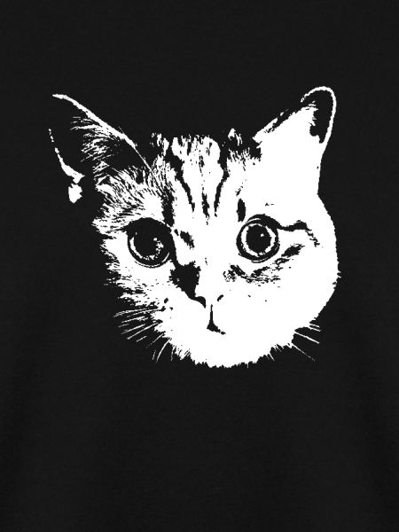 Katze, Katzen