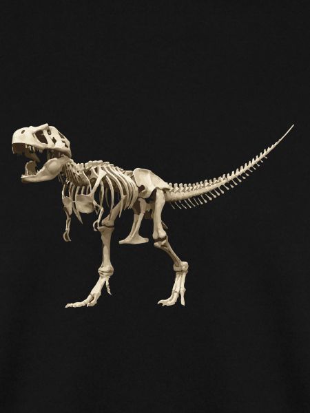 T-rex Skelett