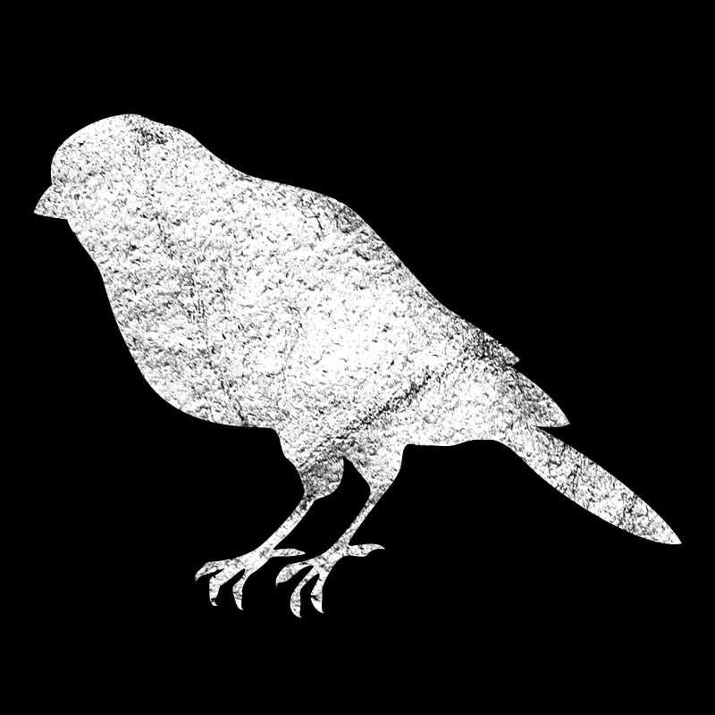 Oiseau oiseau propriétaire cadeau oiseaux oiseau de proie