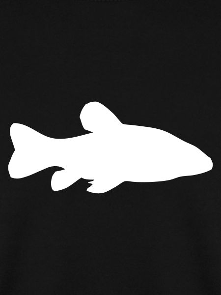 Schleie - Fisch - Fish
