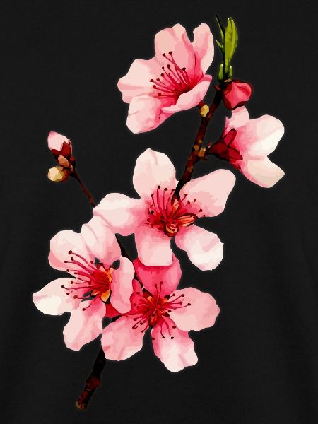 Kirschblüte