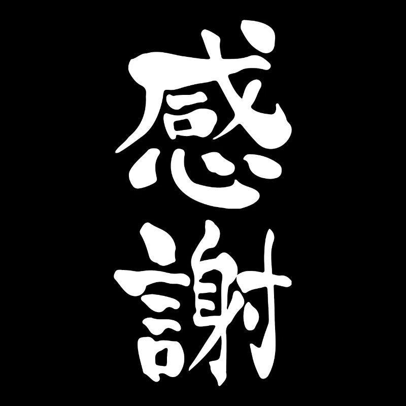 Gratitude Caractères japonais Chemise
