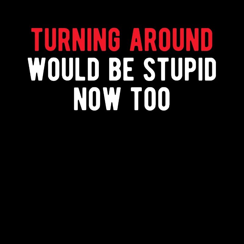 Turning Around Would Be Stupid Now Too