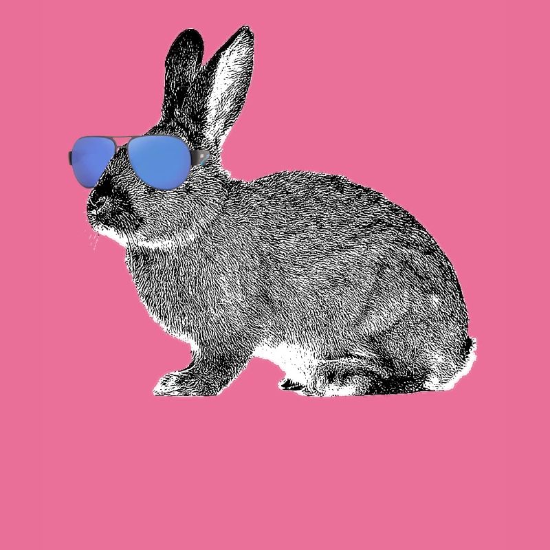 Hase