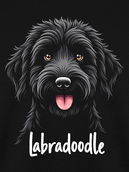 Labradoodle Friendship