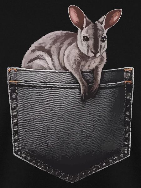 Wallaby