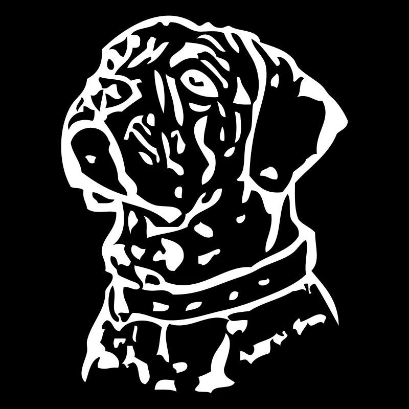 canecorso02