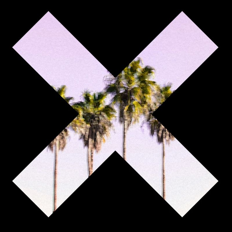 X Palm