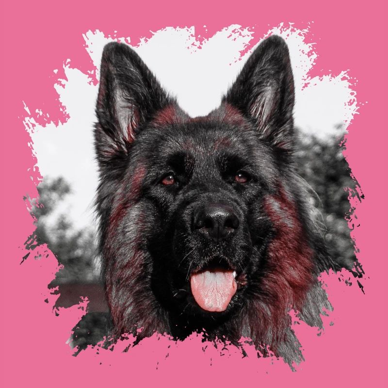 Schäferhund
