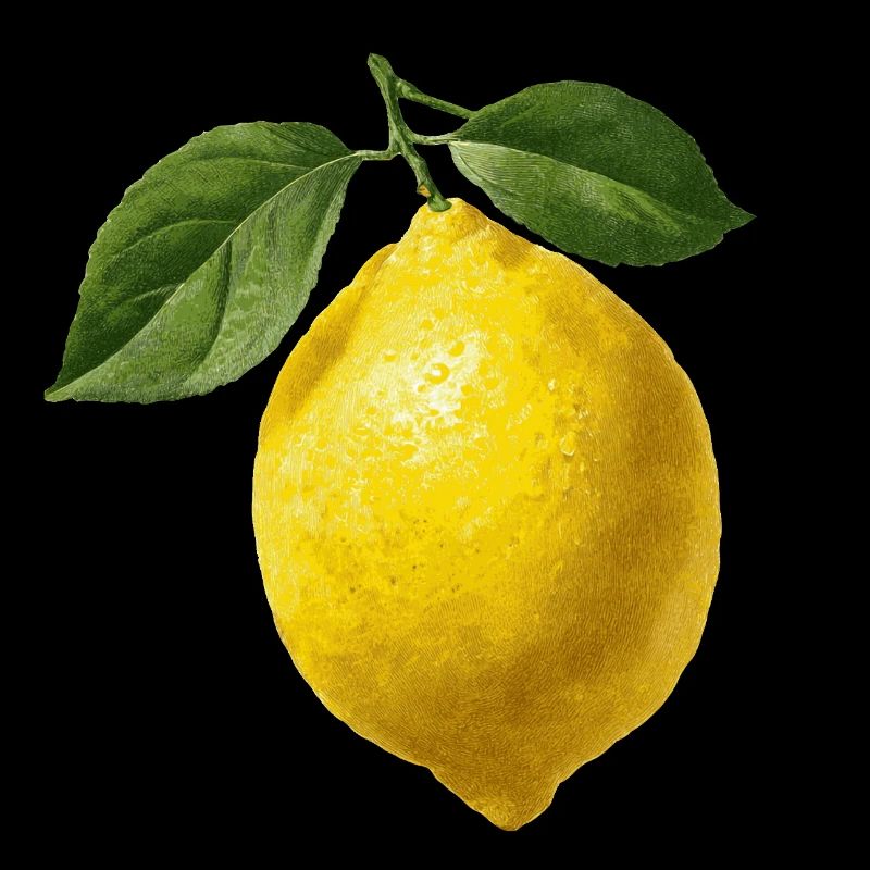 Zitrone