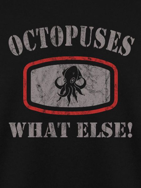 Octopus