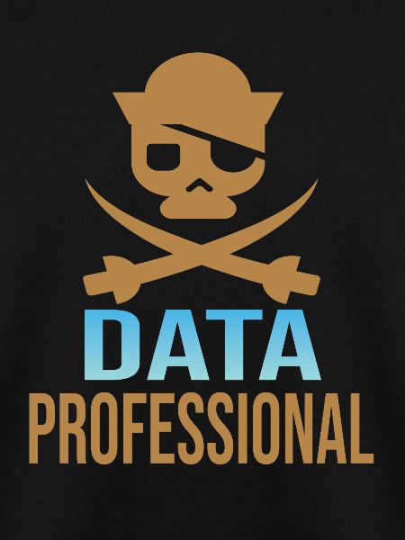 Daten Analytiker Datenschutz Beauftragter