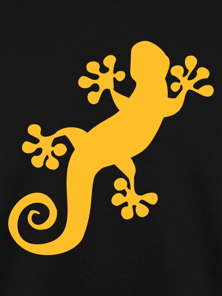 2020 08 06 Gecko
