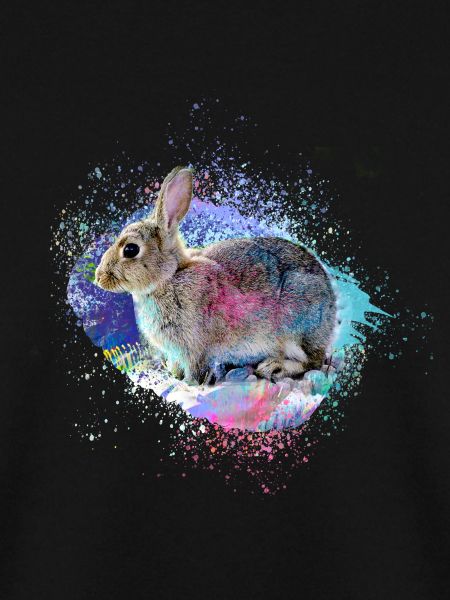 hase,graffiti,malereir,bunt,haustier,kaninchen