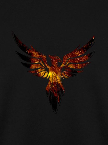 Phoenix,Bird,Graffiti,Painting,Spark,Fire
