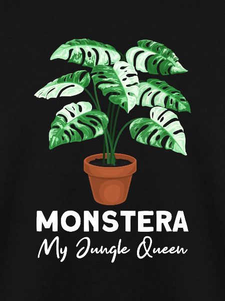 Monstera My Jungle Queen