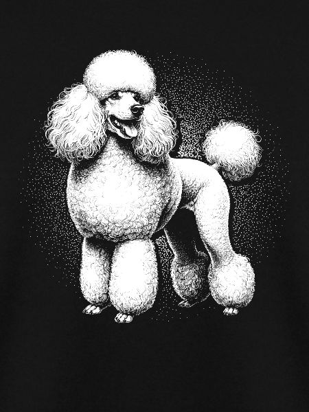Pudel Hund