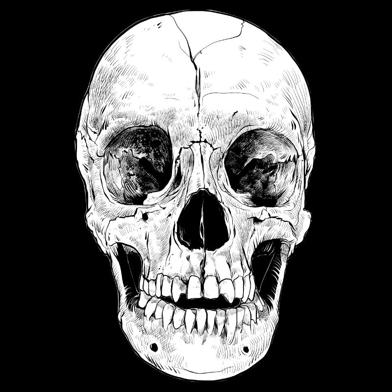 Totenkopf Schädel grusselig Knochen Kopf