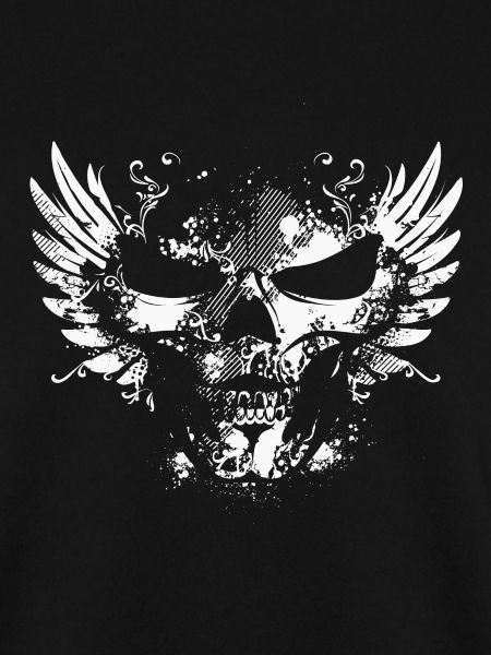 Skull with wings