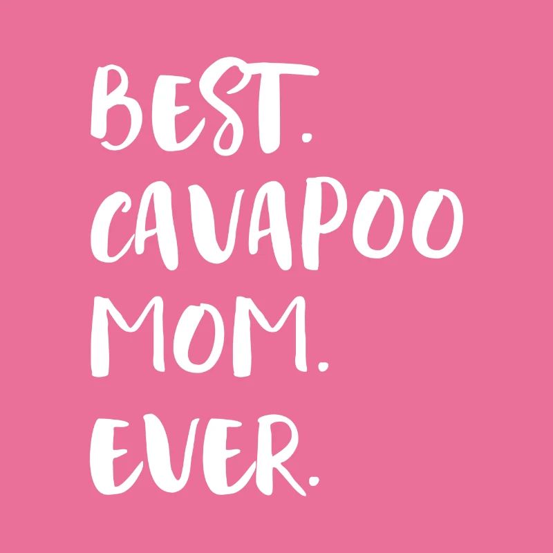 Cavapoo Cavoodle