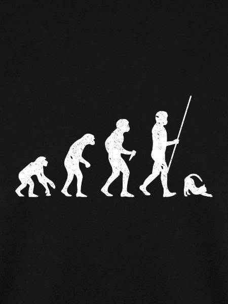 Cat Evolution