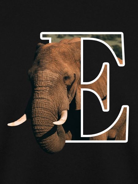 E Elephant alphabet animals