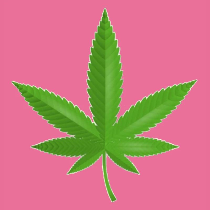 Cannabis Fleur