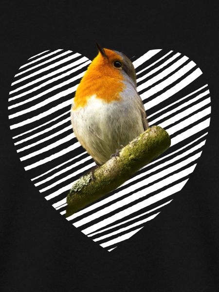 Rotkehlchen Singvogel
