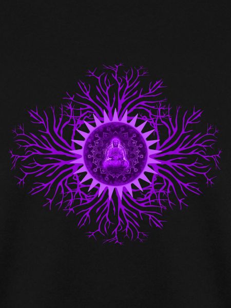 Kronenchakra Chakra