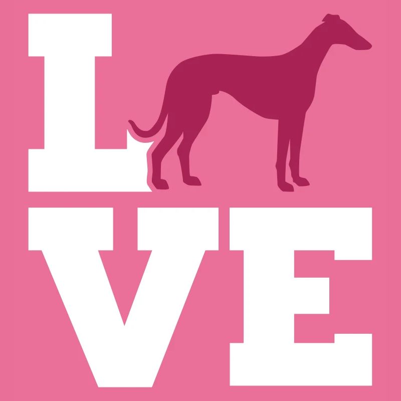 Whippet