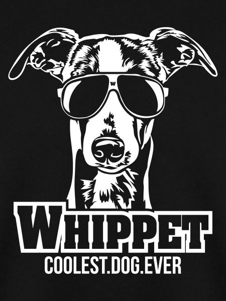 WHIPPET coolest dog Wilsigns