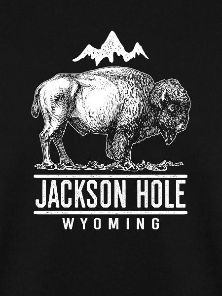 Jackson Hole Wyoming Buffalo