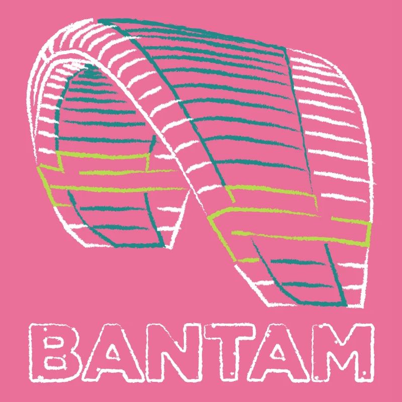 Bantam Nova Paraglider
