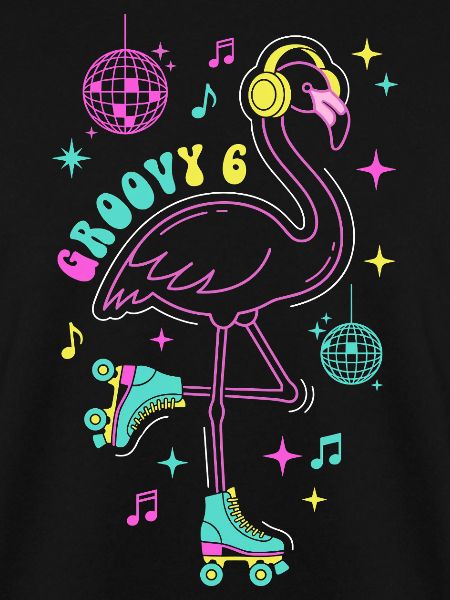 Groovy 6 Birthday Flamingo