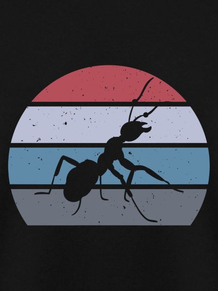Ant