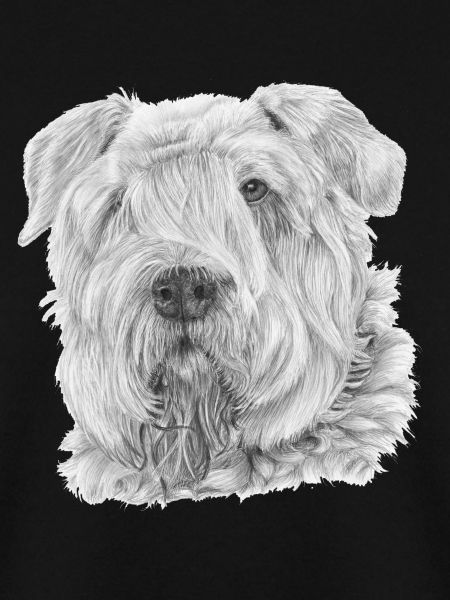 Bouvier Des Flandres